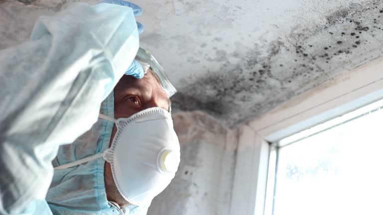 Best Mold Prevention Services  in Ackerman, MS